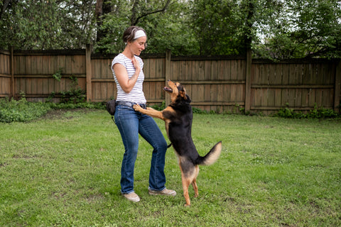 Canine Core Method: Board & Train